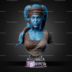 Aayla Secura Portrait Bust 286mm STL Files