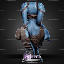 Aayla Secura Portrait Bust 286mm STL Files
