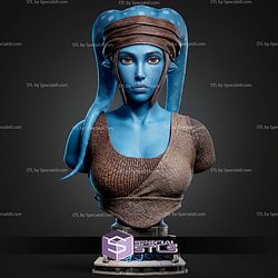 Aayla Secura Portrait Bust 286mm STL Files
