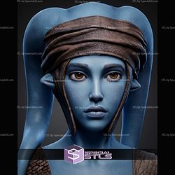 Aayla Secura Portrait Bust 286mm STL Files