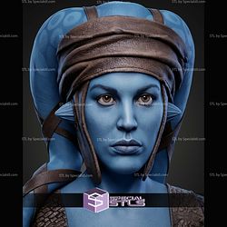 Aayla Secura Portrait Bust 286mm STL Files