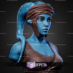 Aayla Secura Portrait Bust 286mm STL Files
