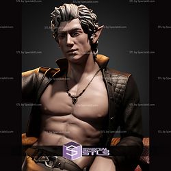Astarion Baldur Gate 3 Attractive STL Files