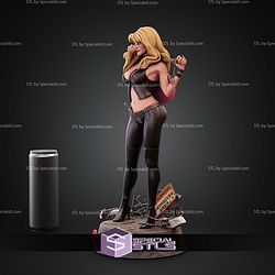 Barb Wire Movie STL Files V2