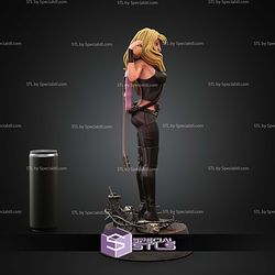 Barb Wire Movie STL Files V2