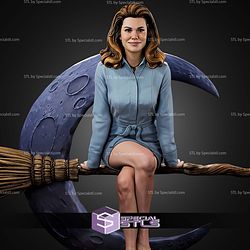 Bewitched 1 10 STL Files