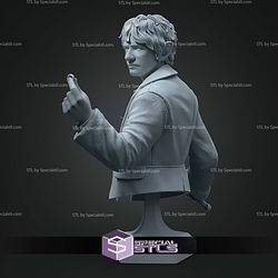 Bilbo Baggins Bust 77mm STL Files