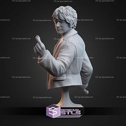 Bilbo Baggins Bust 77mm STL Files