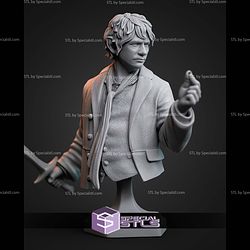 Bilbo Baggins Bust 77mm STL Files