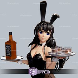 Bunny Girl Waitress