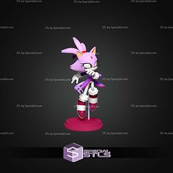 Blaze The Cat Sonic STL Files