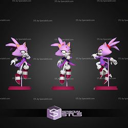 Blaze The Cat Sonic STL Files