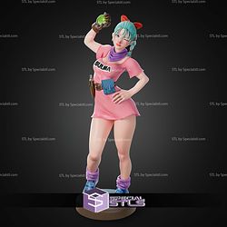 Bulma Dragon Ball 300mm STL Files