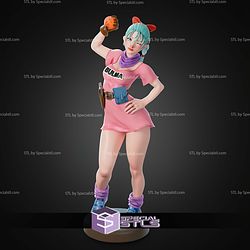 Bulma Dragon Ball 300mm STL Files