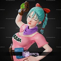 Bulma Dragon Ball 300mm STL Files