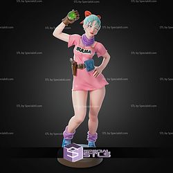Bulma Dragon Ball 300mm STL Files
