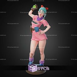 Bulma Dragon Ball 300mm STL Files