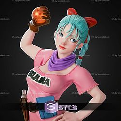 Bulma Dragon Ball 300mm STL Files