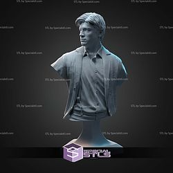 Captain Malcolm Reynolds Bust STL Files