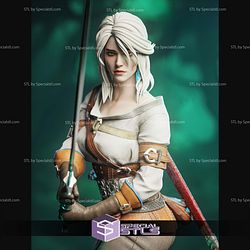 Ciri The Witcher 3 1 6 STL Files