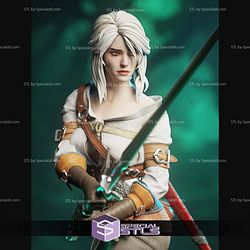 Ciri The Witcher 3 1 6 STL Files