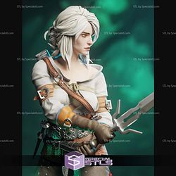 Ciri The Witcher 3 1 6 STL Files