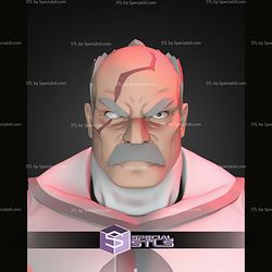 Conquest Invincible Articulated Action Figure 1 12 STL Files