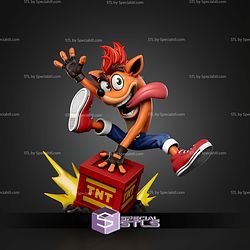 Crash Bandicoot And TNT 160mm STL Files