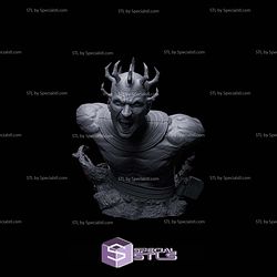 Darth Maul Sith Warrior Bust STL Files