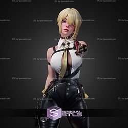 Evelyn Zenless Zone Zero 250mm STL Files