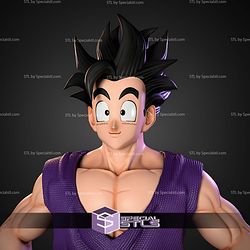 Gohan Super Hero With Glasses 202mm STL Files