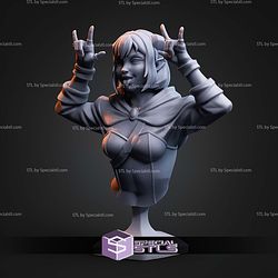 Jester The Mighty Nein Bust STL Files