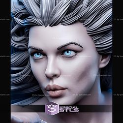 Killer Frost Portrait Bust 500mm STL Files