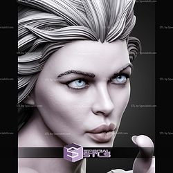 Killer Frost Portrait Bust 500mm STL Files