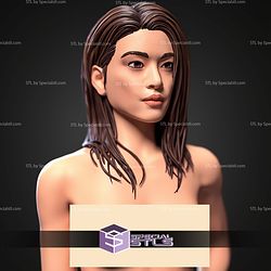 Kono Hawaii Five 0 ALT STL Files