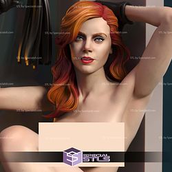 Mara Jade By Window ALT Star Wars STL Files