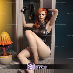 Mara Jade By Window Star Wars STL Files