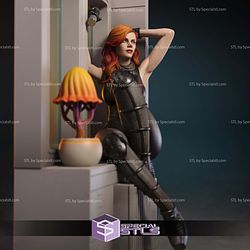 Mara Jade By Window Star Wars STL Files