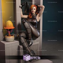 Mara Jade By Window Star Wars STL Files