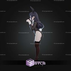 Marin Kitagawa 250mm Rabbit Suit STL Files