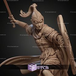 Nastasya The Shield Maiden STL Files