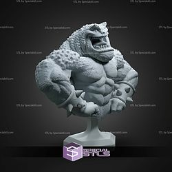 Pimple Battletoad Bust STL Files