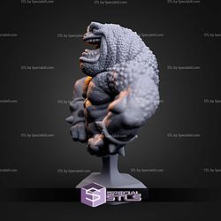 Pimple Battletoad Bust STL Files