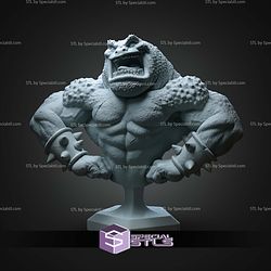 Pimple Battletoad Bust STL Files