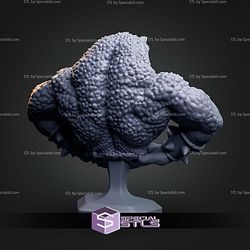 Pimple Battletoad Bust STL Files