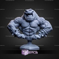 Pimple Battletoad Bust STL Files