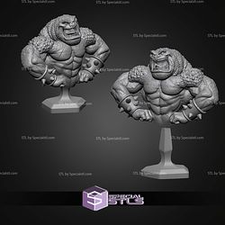 Pimple Battletoad Bust STL Files