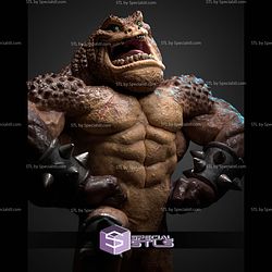 Pimple Battletoad 1 10 STL Files