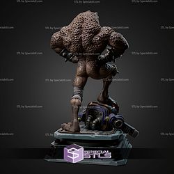 Pimple Battletoad 1 10 STL Files