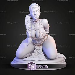 Princess Leia Semi Realistic ALT STL Files